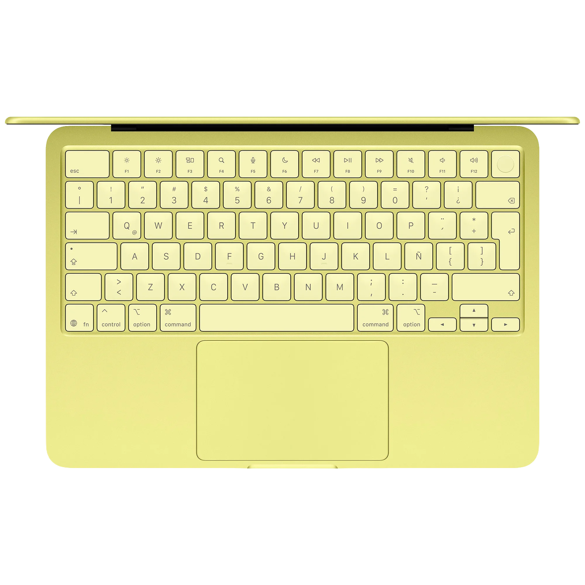Vista de perfil